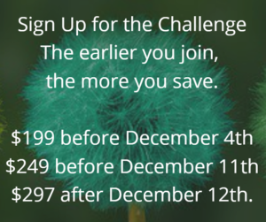 life makeover challenge pricing